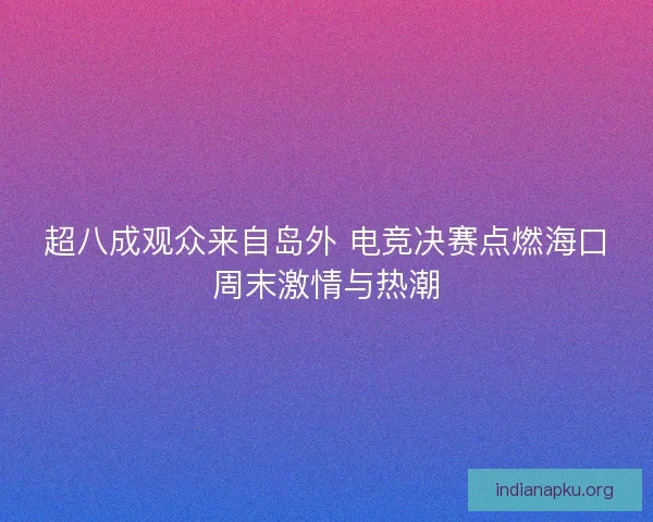 超八成观众来自岛外 电竞决赛点燃海口周末激情与热潮