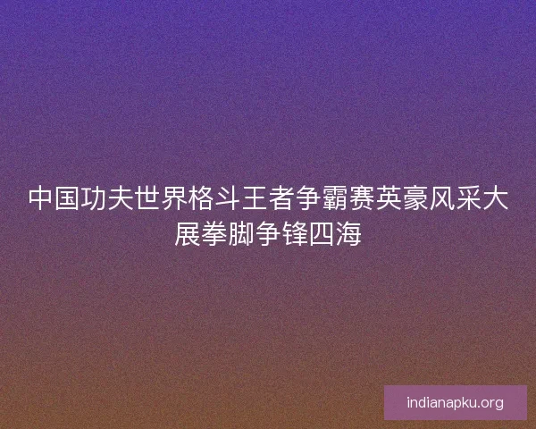 中国功夫世界格斗王者争霸赛英豪风采大展拳脚争锋四海