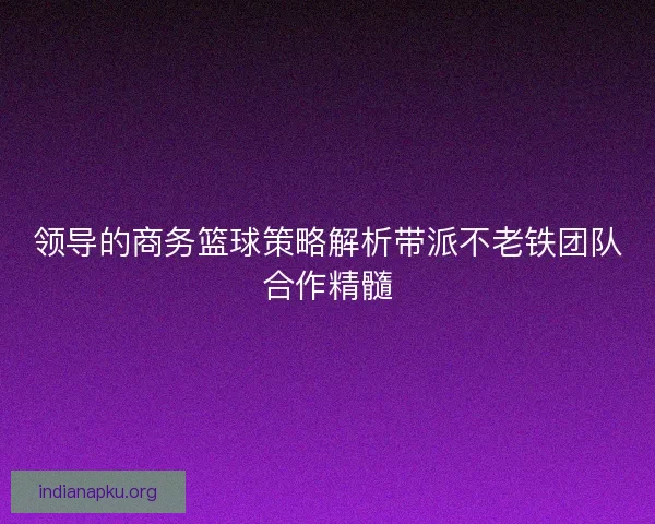 领导的商务篮球策略解析带派不老铁团队合作精髓