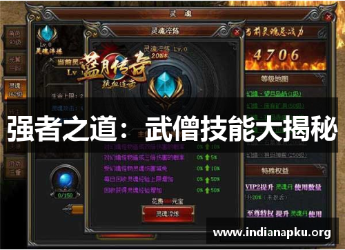 强者之道：武僧技能大揭秘