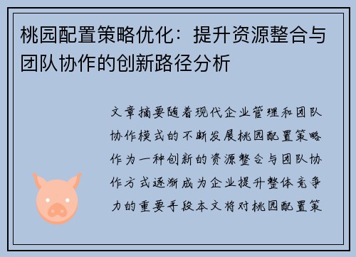 桃园配置策略优化：提升资源整合与团队协作的创新路径分析