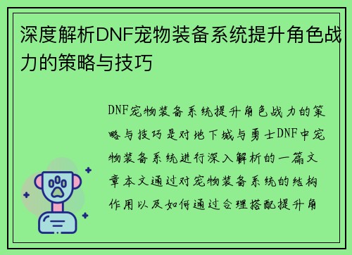 深度解析DNF宠物装备系统提升角色战力的策略与技巧